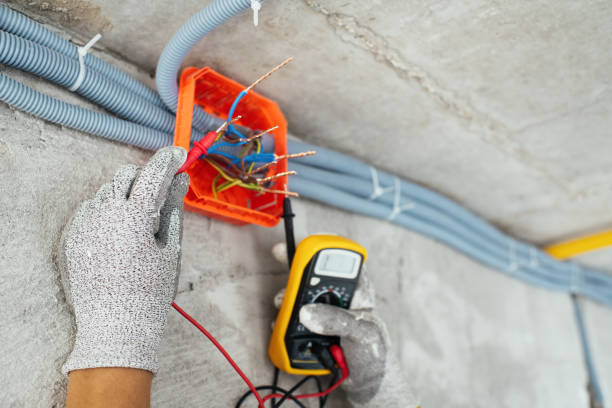 Best Licensed Electrician  in Griggsvle, IL